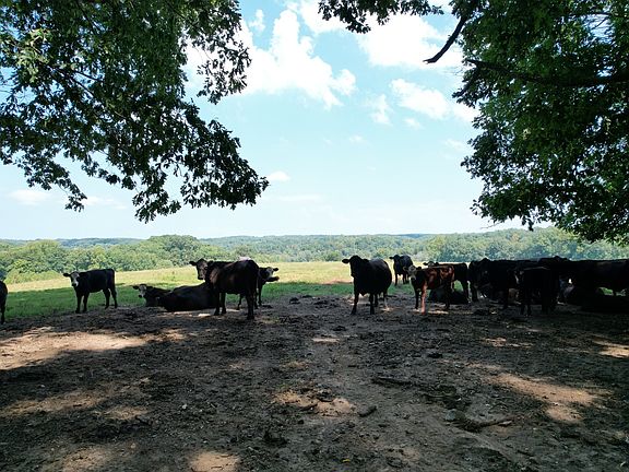 2nd image of 5 N Lick Creek Rd