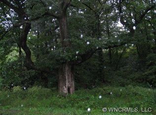 4 Goodman Rd, Asheville, NC 28804