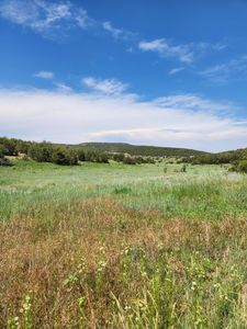 Escalante Rd, Edgewood, NM, 87015