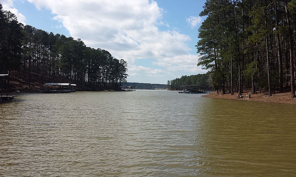 Shoreline view behind lot