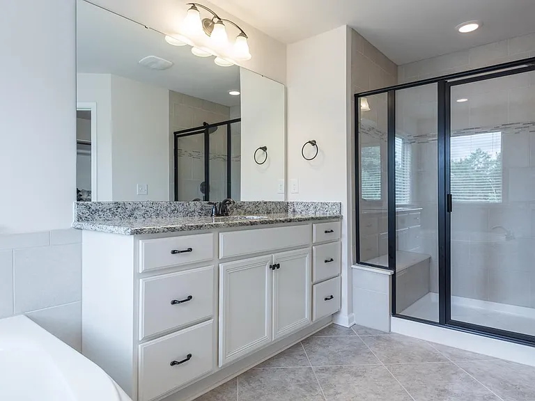 Master Bath Shower