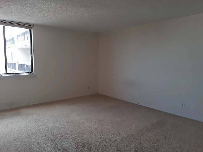 3800 Fairfax Dr #1702 — Photo 19