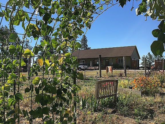 growing hoops in garden