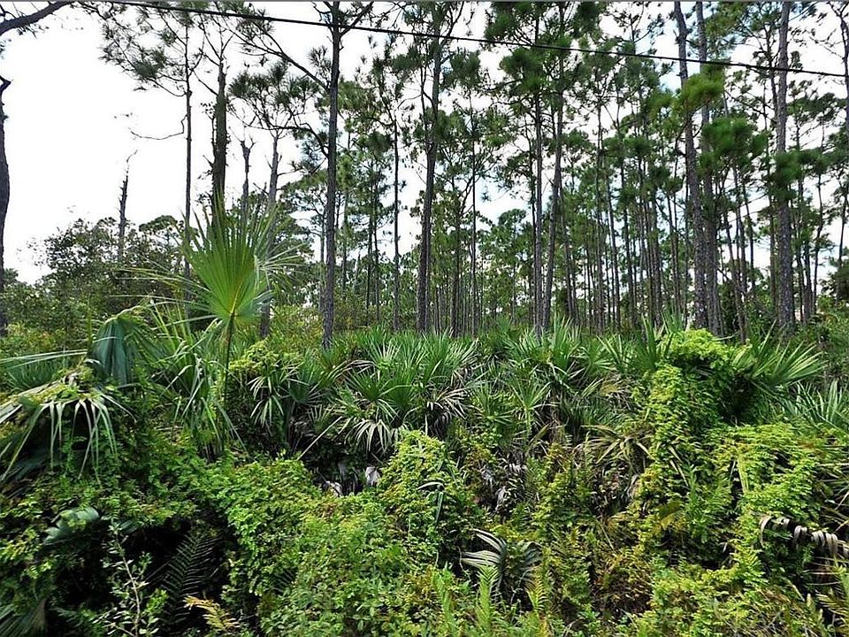 2nd image of TBD Tbd Southwind Trail