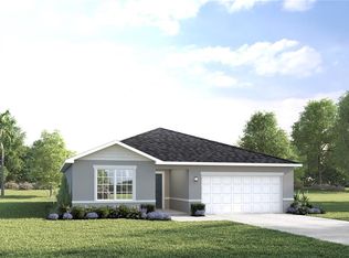 291 Prickly Pear Ct, Lady Lake, FL 32159