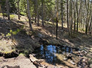 2174 Bear Gulch Rd, Red Feather Lakes, CO 80545