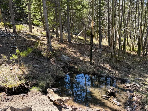 2174 Bear Gulch Rd, Red Feather Lakes, CO 80545