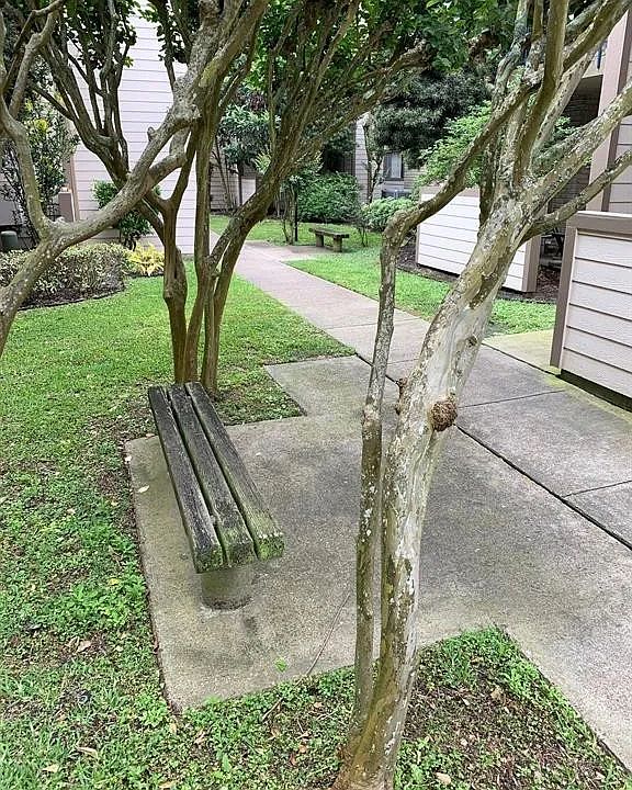 1st image of 7047 N Holiday Dr