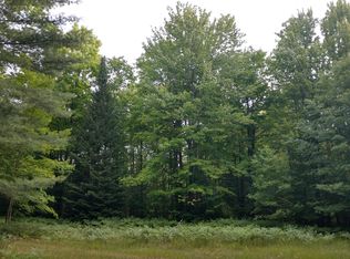 2334 Mont Gabriel Rd, Wolverine, MI 49799