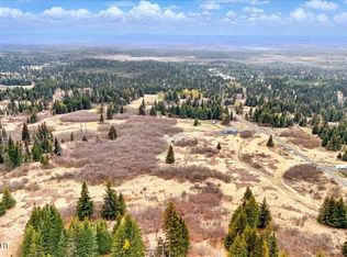 65135 Clyde Thomas Ave, Anchor Pt, AK 99556