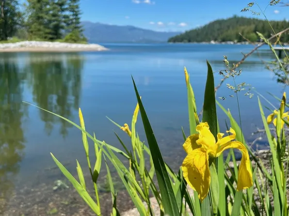 Keepa Way, Sagle, ID 83860