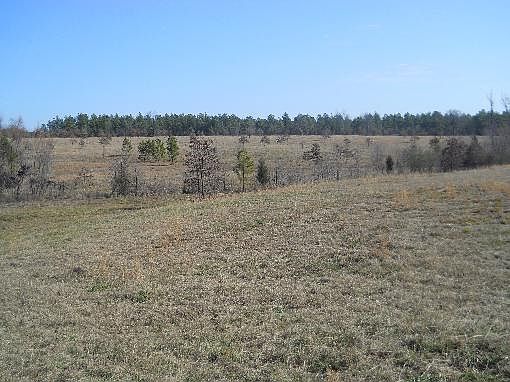 2nd image of 122 Highway 84 W