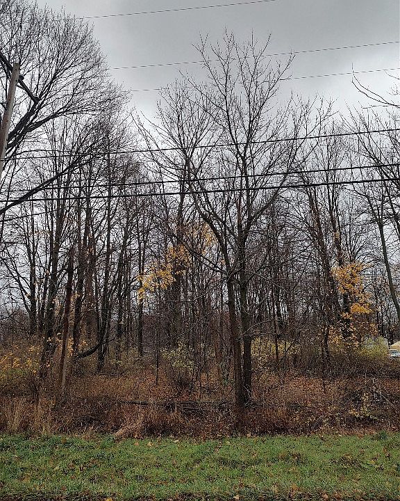 2nd image of 0 Avonia Rd