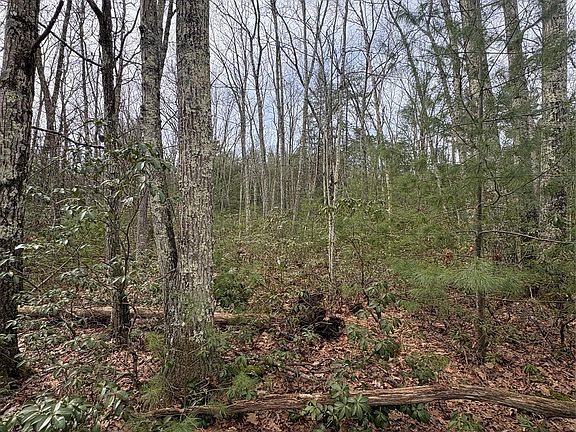 2nd image of Bennett Road