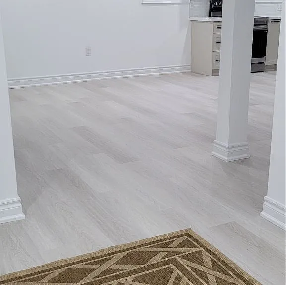 22 Hodgson Rd #BASEMENT — Photo 5