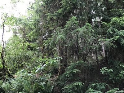 9602 Edgewood Dr, Anderson Island, WA, 98303