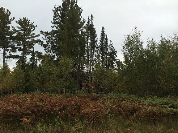 3rd image of Tbd County Road 601