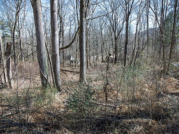 4th image of LOT 54 Lake Valley Dr