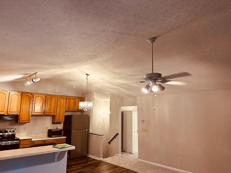 Vaulted ceilings