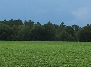 Bacontown Rd, Pembroke, GA 31321