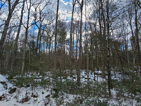 Lot 82 Perry Pond Road, Narrowsburg, NY 12764