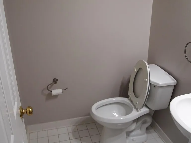 11483 Carriage Gate Ct — Photo 11