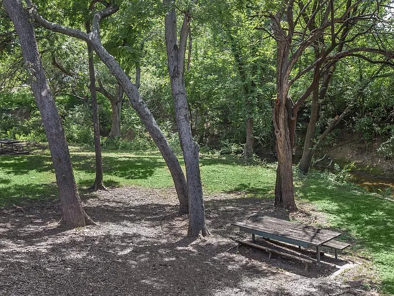 Bel Air Oaks — Photo 39