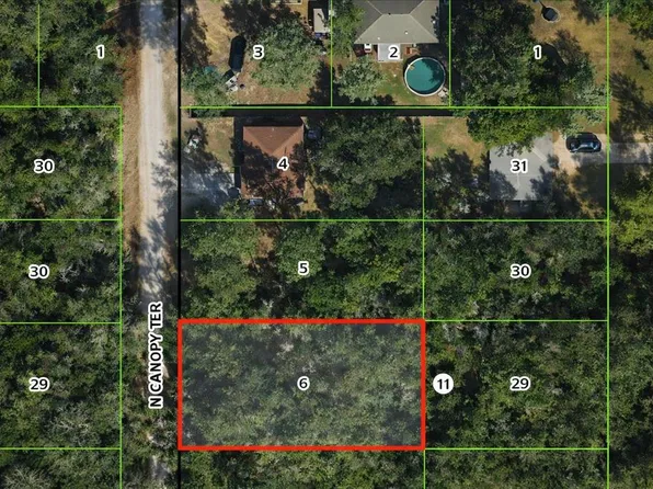 6619 N Canopy Ter Lot 6, Hernando, FL 34442