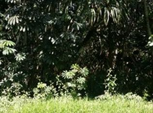 16th Ave LOT 695, Keaau, HI 96749