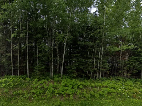 Highway 100, Aurora, MN 55705