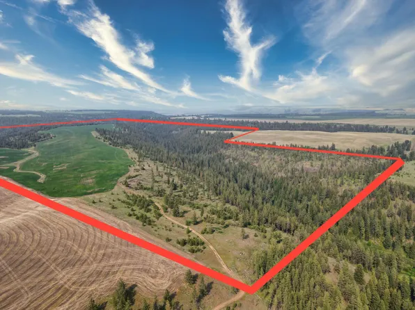 45 Devore Rd E, Davenport, WA 99122