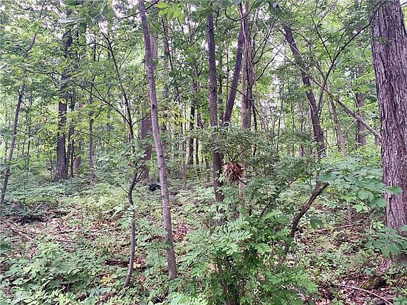 2nd image of 701 Pluto Rd
