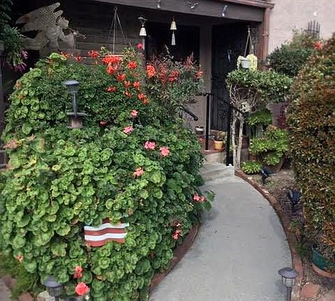2nd image of 149 Cordova Walk