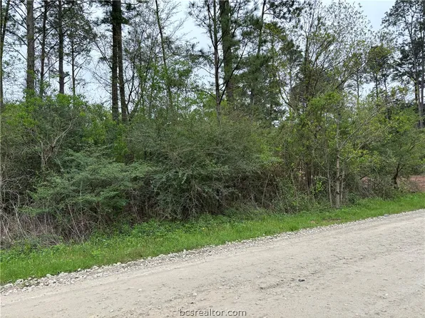 Live Oak Dr, Plantersville, TX 77363