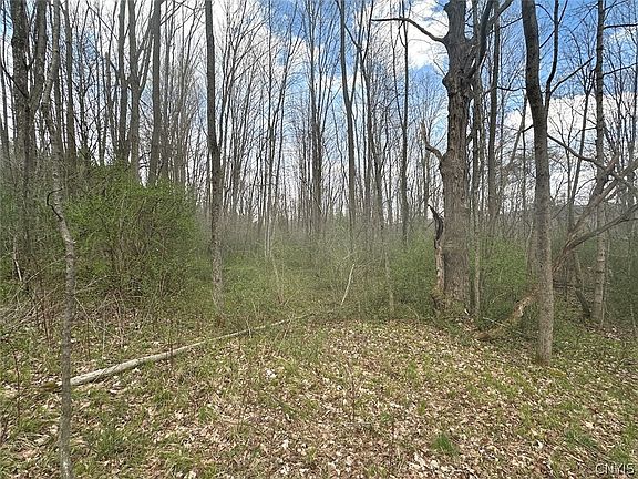 3rd image of Pigtail Rd