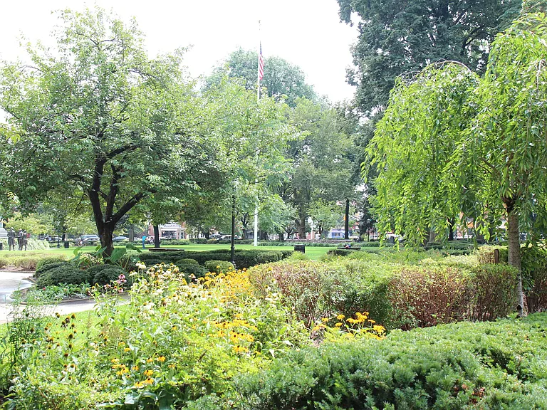 Lush greenery and gardening at Speedwell Lake Park