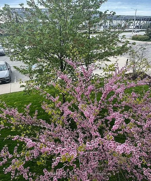 75 Norman Bethune Ave #220 — Photo 4