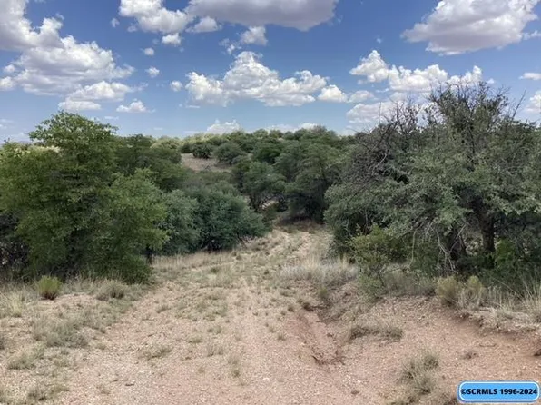 Old Ranch Rd, Silver City, NM 88061