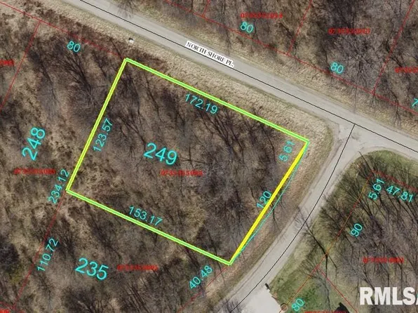 249 N Shore Pl, Dahinda, IL 61428