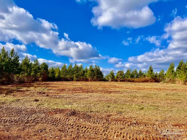 LOT 16 Mineral Springs Rd, Jay, FL 32565