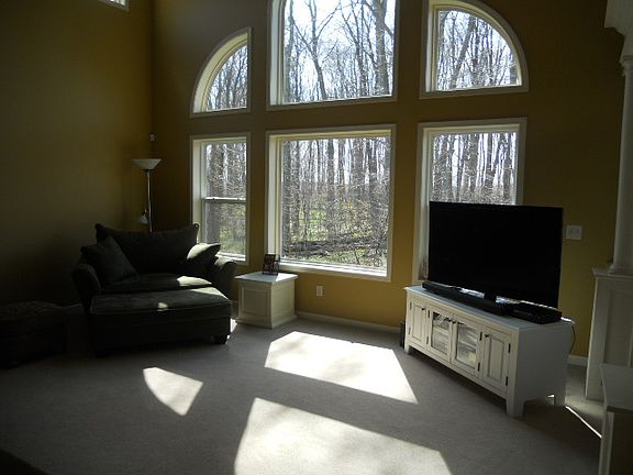 Living room-17' ceilings