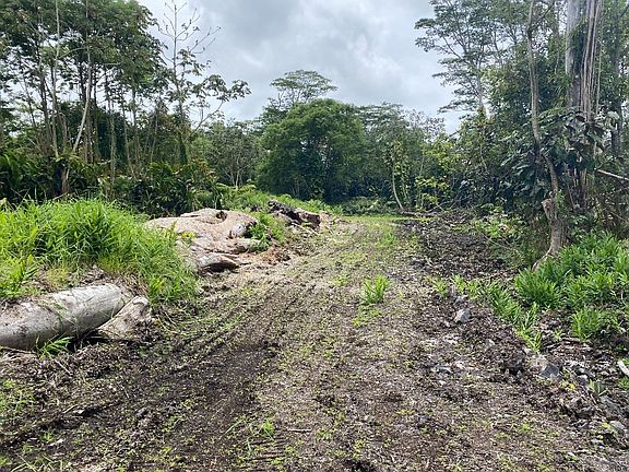 3rd image of Pomaikai St Lot 54