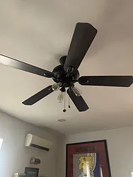 Rented by 50 Stanhope LLC