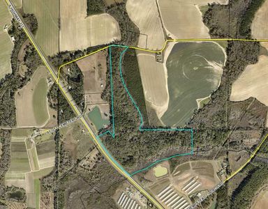 State Highway 133 S, Moultrie, GA, 31788