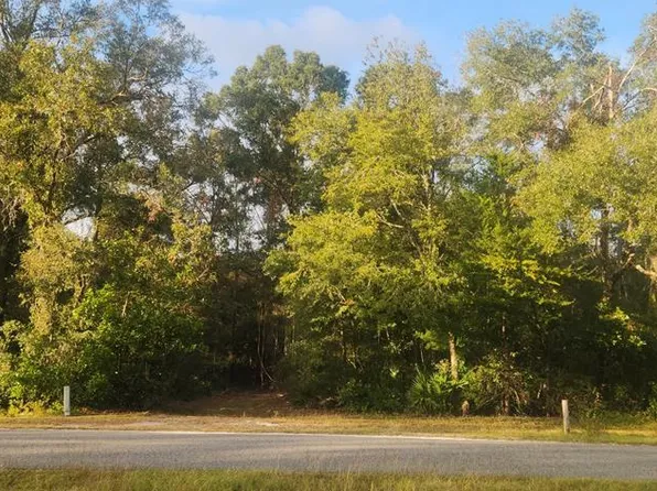 174 NE 835th St, Old Town, FL 32680