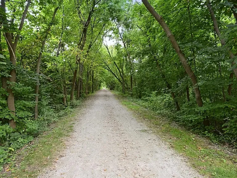 Immediate access to the West Bloomfield Nature Trail!