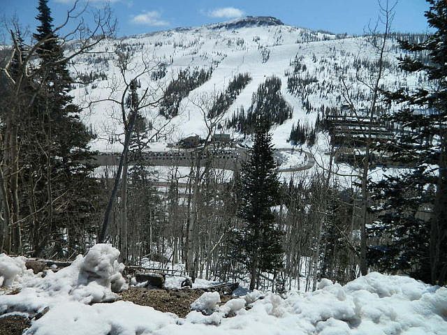 1st image of Eagles Roost Lot 62B