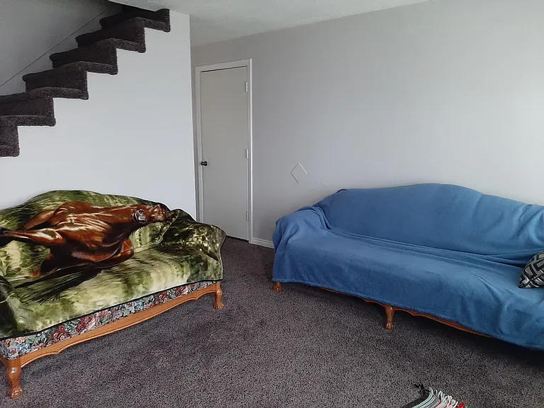 1313 E Bruce Cir — Photo 4
