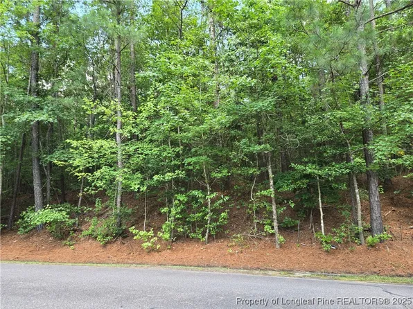 893 Loblolly Dr, Vass, NC 28394