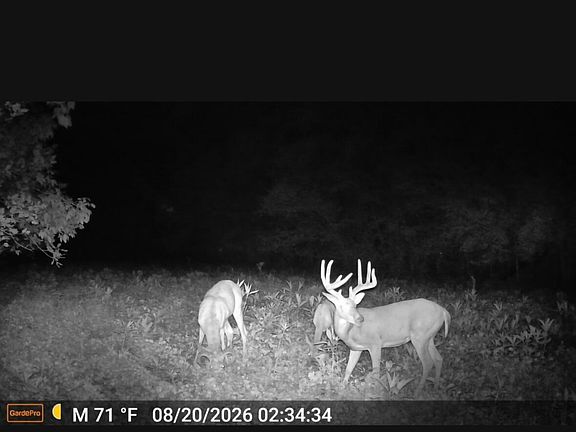 2nd image of 71-3 Lick Creek Rd